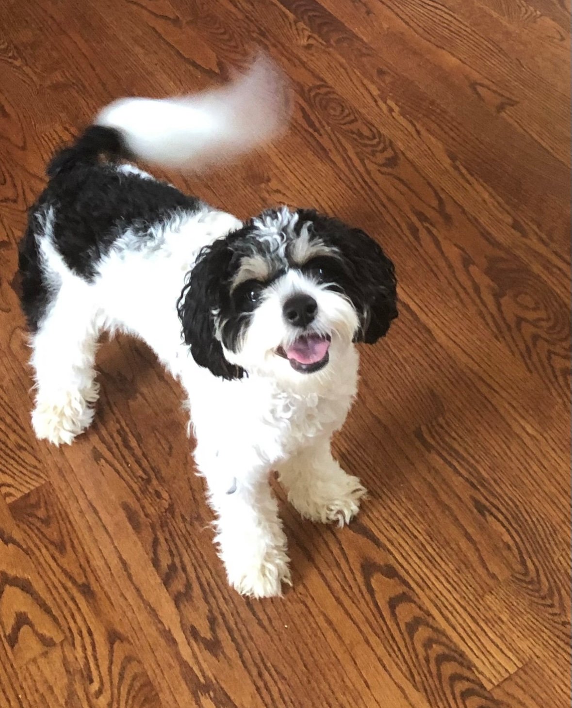 In Home Overnight Stay